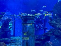-海合安武汉极地海洋公园