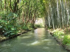 -同里国家湿地公园