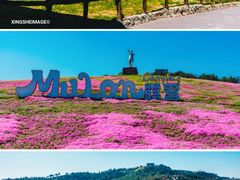 -武汉木兰草原风景区