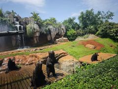 -海南热带野生动植物园