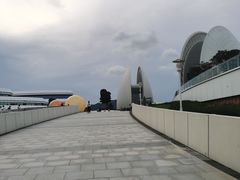 -野狸岛