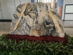 -中铁上海设计院集团有限公司