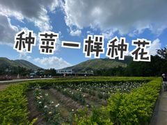 -亚龙湾国际玫瑰谷