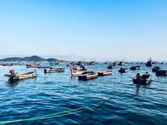 -海源公园