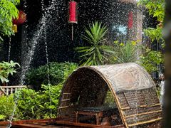 -花溪雨·森林餐厅(石基店)