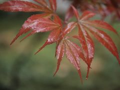 -陕西师范大学(雁塔校区)