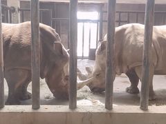 -石家庄市动物园