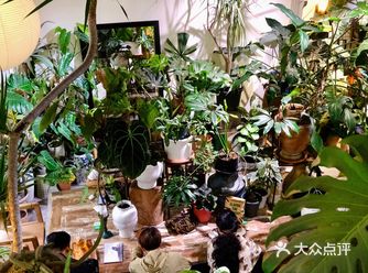 广州到底哪里有植被覆盖率爆棚的咖啡馆