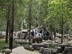 -北京野生动物园