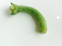 -香浙汇(望京店)