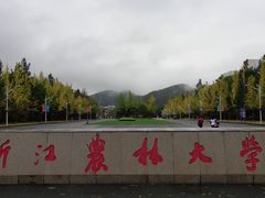 -浙江农林大学(东湖校区)