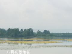 -西昌邛海湿地