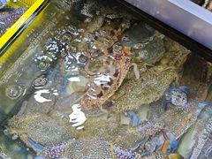 -拉威海鲜市场