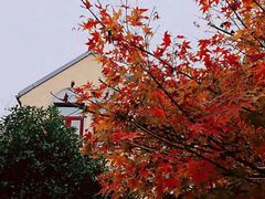 -颐和路民国时期公馆风貌区