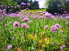 -云峰山自然风景区