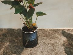 -楚禾宴·家宴(光谷大道店)