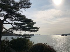 -松岛