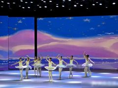 -中央芭蕾舞团·中芭艺蕾(酒仙桥明星校区)
