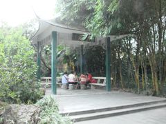 凉亭-晓港公园