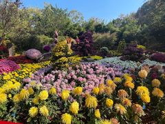 -杭州植物园