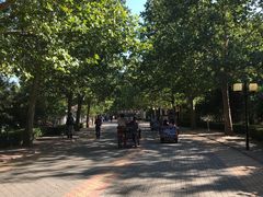 -朝阳公园游乐园