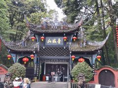 -龙翔山庄雷鸡肉(青城后山泰安古镇店)