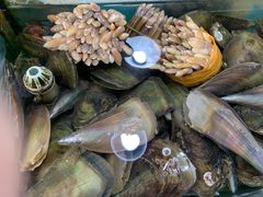 -北海港酒楼 海鲜代加工 粤菜(淡村商贸城店)