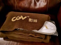 -CGV影城(壹方城IMAX店)