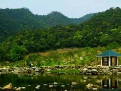 -广州市石门国家森林公园