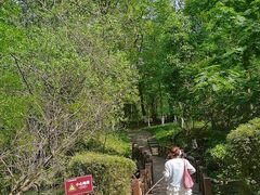 -桤木河湿地公园