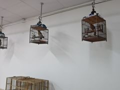 -苏州艺都古玩花鸟市场