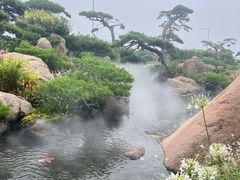 -罗红摄影艺术馆