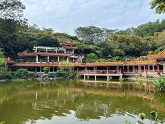 -深圳仙湖植物园