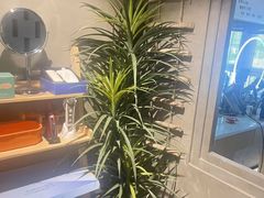 -施奈儿.洗头頭療.按摩SPA.采耳(上梅林店)