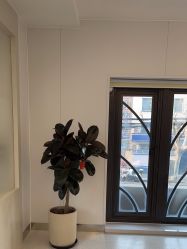 -魔型社烫染店