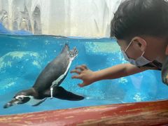 -中央电视塔旋转餐厅