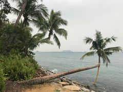 -巴拉湾海滩