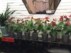 -泰山廊亦舫(丽景店)