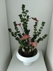 -颜蕾医美·黄金微针·水光·玻尿酸·超声炮·抗衰中心