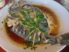 清蒸遇龙河剑骨鱼-生态苑农庄(十里画廊遇龙河店)