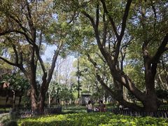 -徐家汇源景区-衡山公园