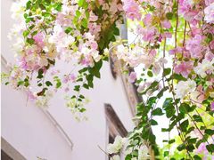 -深圳国际园林花卉博览园