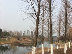 -尚贤河湿地