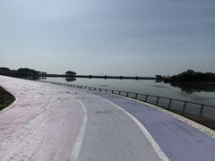-贡湖湾湿地公园