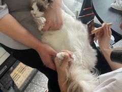 -宠物家(角门东店)
