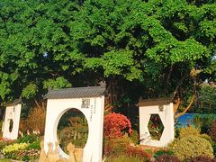 -海心沙亚运公园