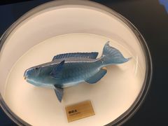 -陕西自然博物馆