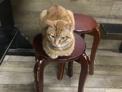 -巧云大馄饨(南阴阳营总店)