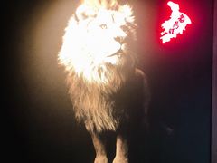 门面-老鼎旺安格斯牛肉火锅(衡艺广场店)