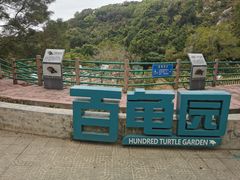 -广东惠东海龟国家级自然保护区
